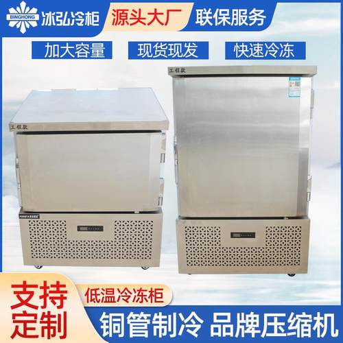 低温冷冻柜-40度超低温冰箱实验室冷冻柜工业商用冷藏冰箱冷冻柜