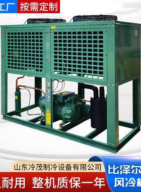比泽尔双极机制冷压缩机厂家海鲜冷冻6F-30.2|30匹风冷水冷压缩机