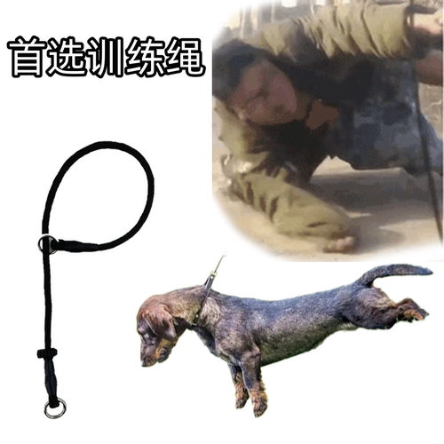 P链中大型犬防爆冲束颈牵引绳