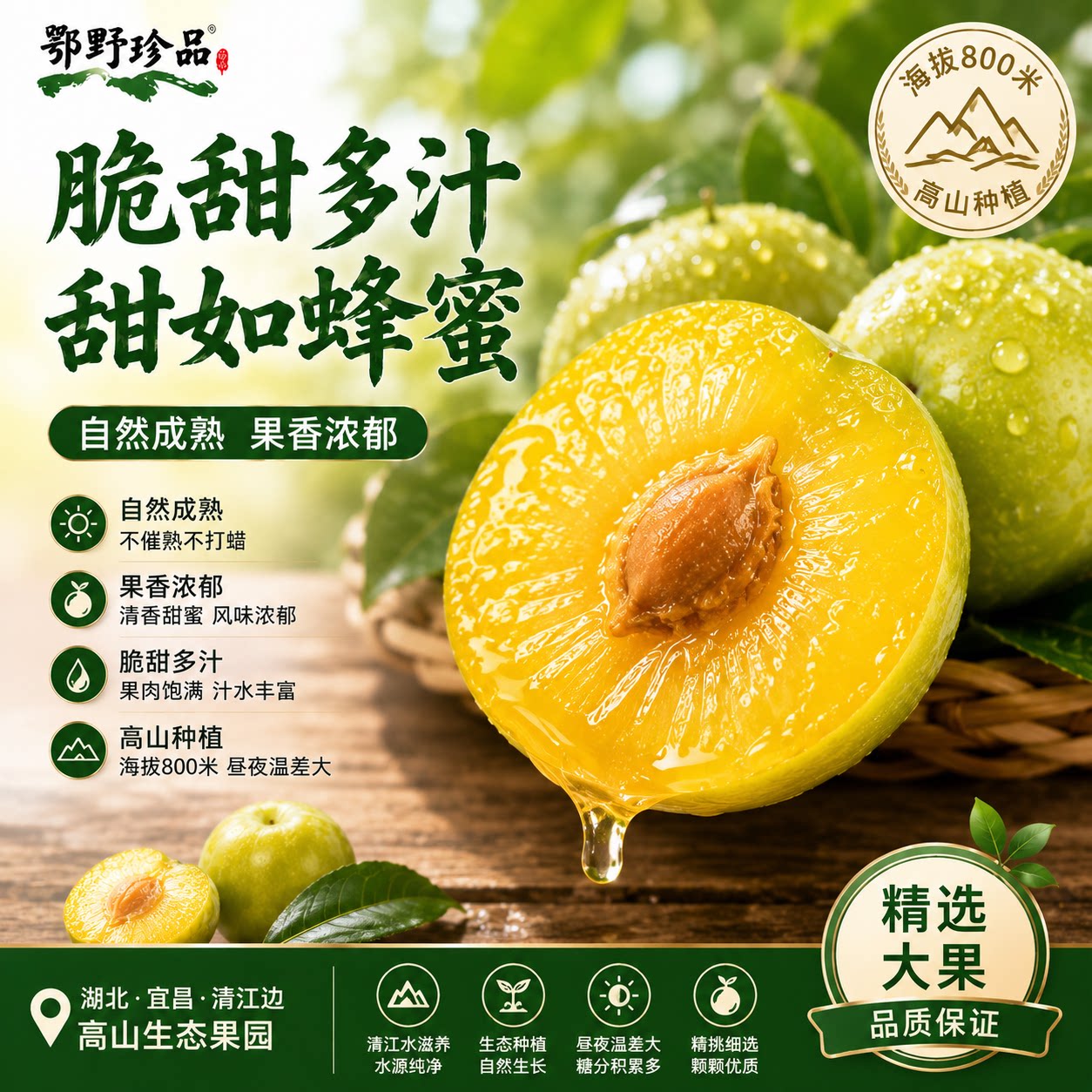 鄂野珍品蜂糖李现货青脆李5斤蜂蜜李脆甜巫山脆李脱骨李新鲜水果