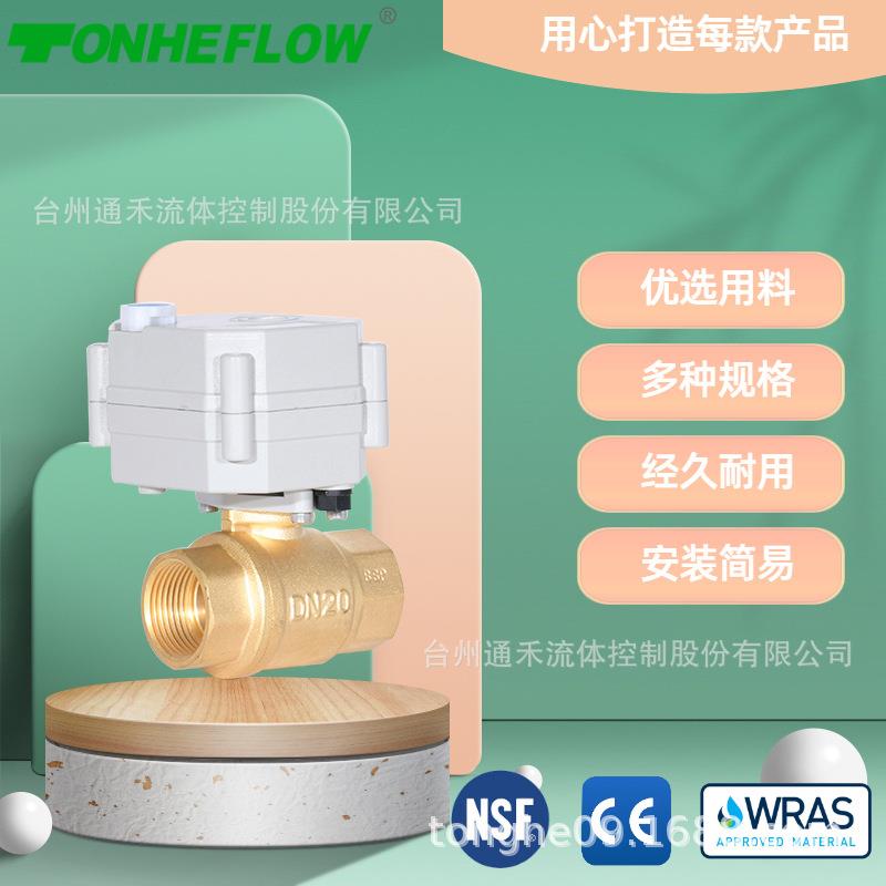 1寸微型电动阀黄铜直通手电一体断电复位电动球阀可替代电磁阀DN2