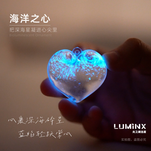 蓝眼泪发光海藻夜光藻海洋之心吊坠200ml套餐生日礼物LUMiNX