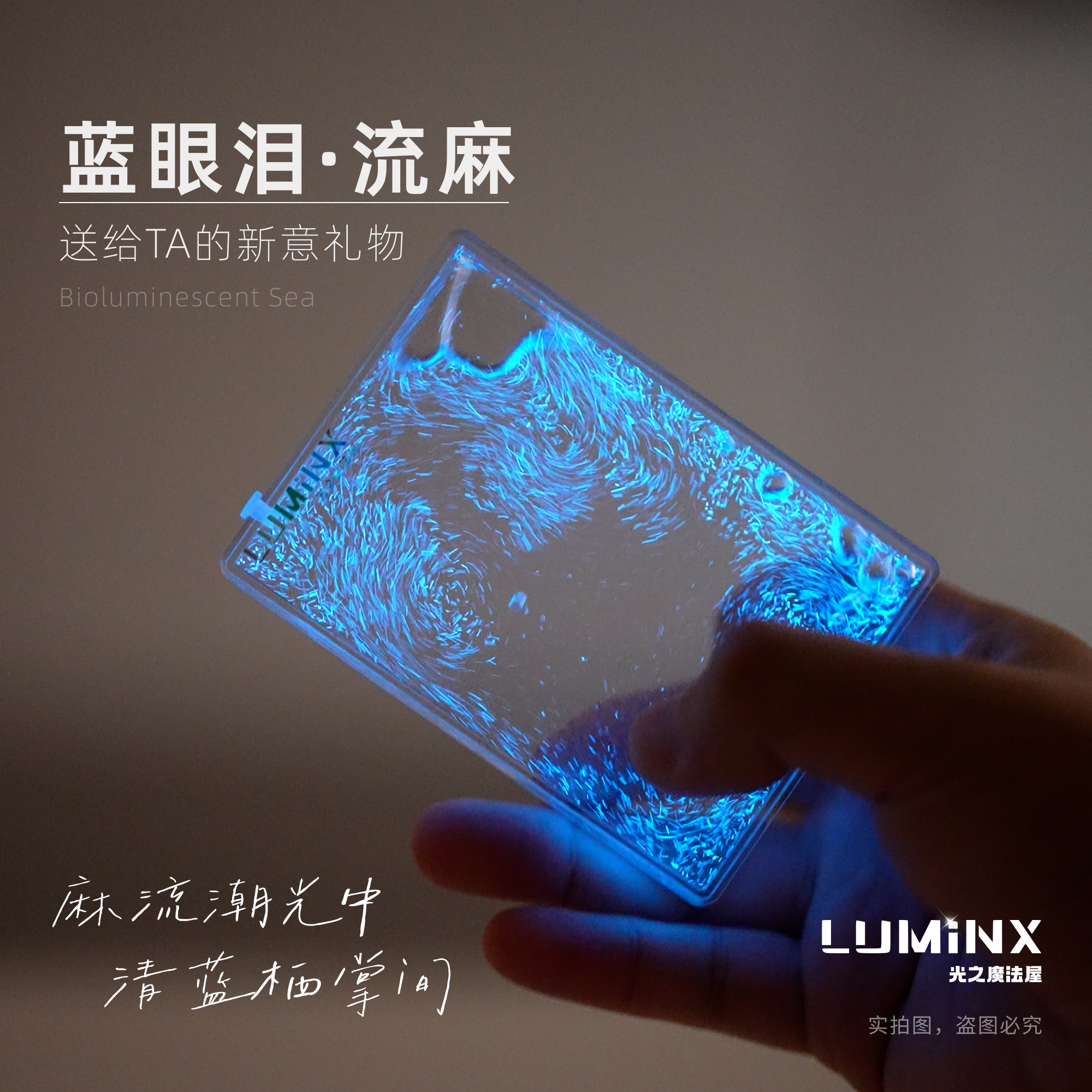 蓝眼泪 发光海藻 夜光藻 流麻套餐 创意礼物 新奇礼物 LUMiNX,鲜花速递/花卉仿真/绿植园艺,海藻球,淘宝优惠券,粉丝福利购,淘宝优惠卷