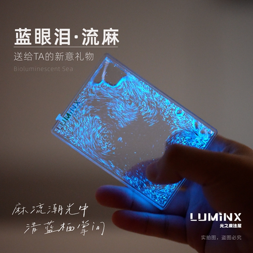 蓝眼泪 发光海藻 夜光藻 流麻套餐 创意礼物 新奇礼物 LUMiNX