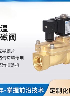 永创YCP11先导膜片式电磁阀 蒸汽清洗机/蒸汽发生器 实力