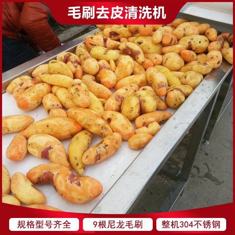 毛刷去皮清洗机现货自动出料红薯土豆去皮机螺旋式胡萝卜脱皮机