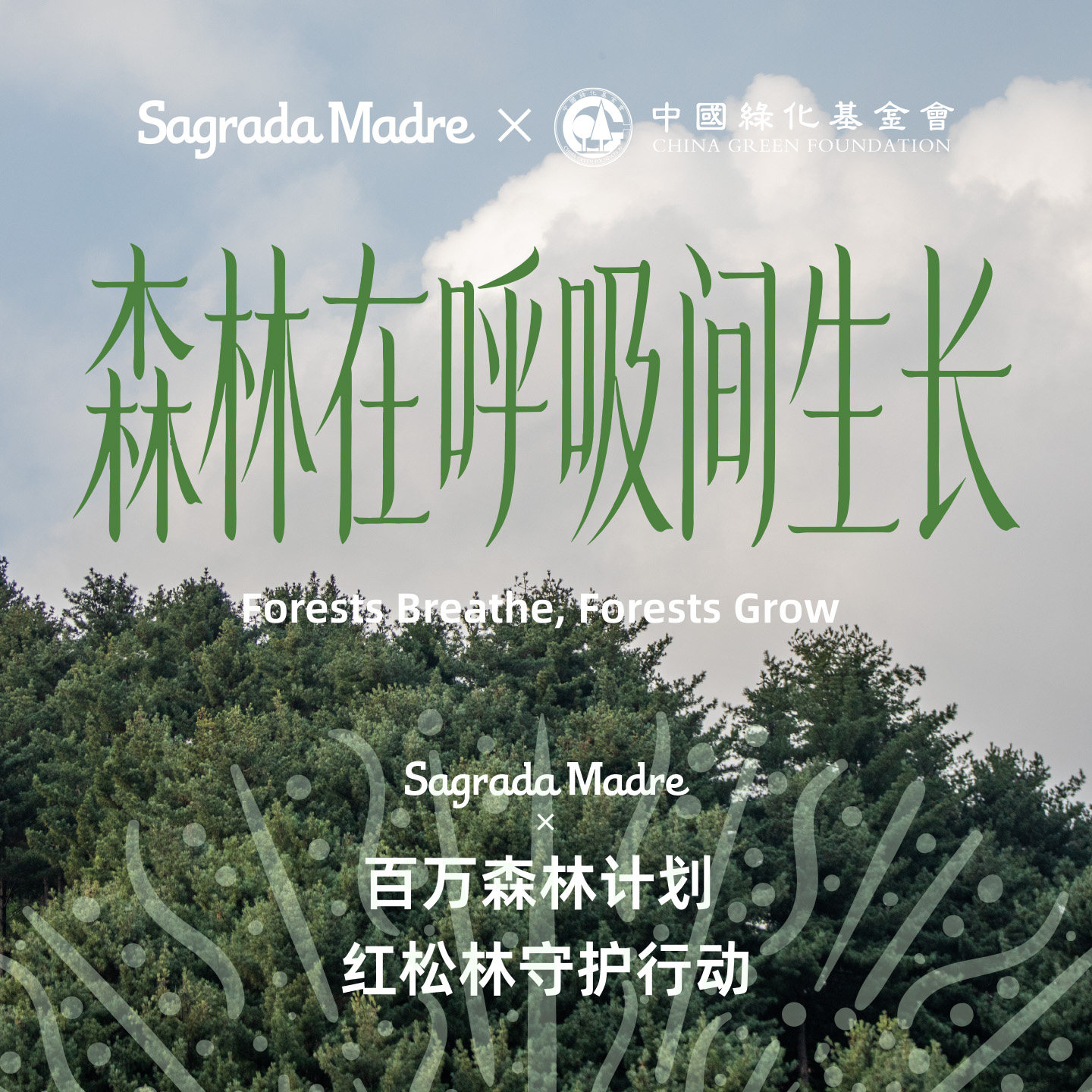 百万森林计划红松林守护活动公益礼包