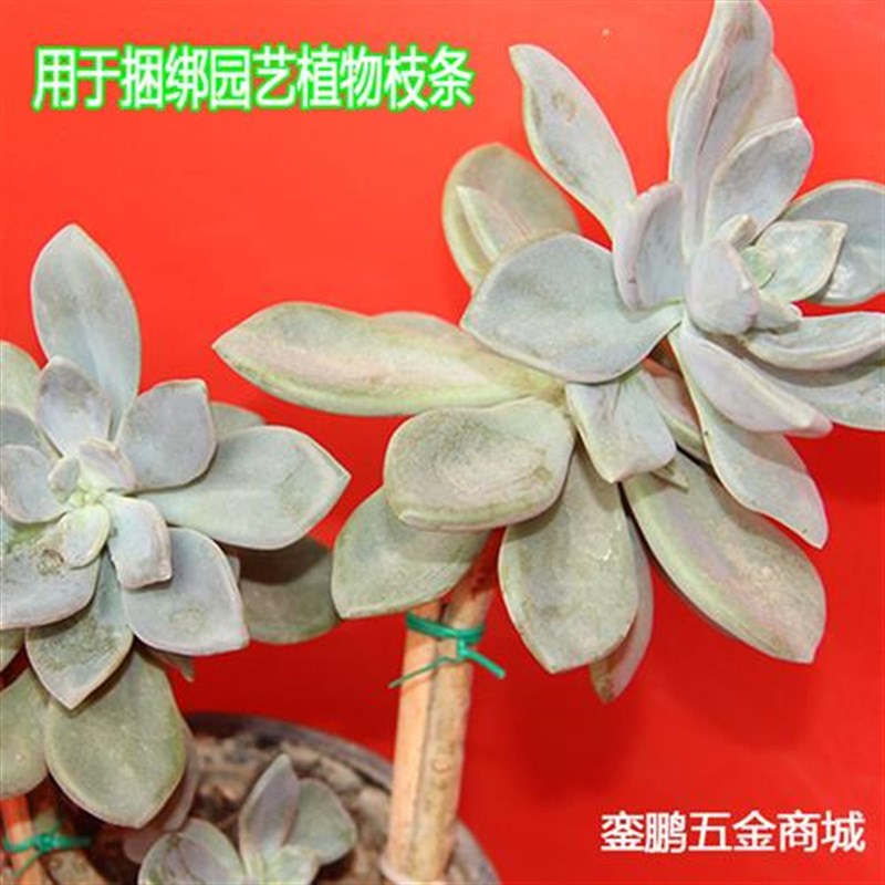 包塑绿色家庭园艺园林植物扎丝 DIY花木扎线铁丝绑线铁芯扎带12cm