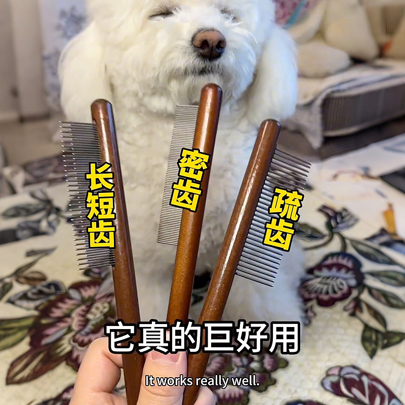 【猫猫的100件快递】超细宠物跳蚤梳蜱虫梳毛猫咪狗狗美容梳长针