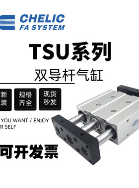 CHELIC气立可导杆滑台气缸TSU/TSB16 20 25 32*25 50 75 100S-AM2