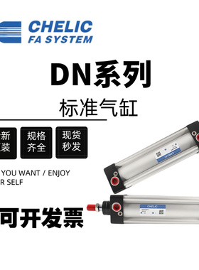 气立可标准气缸DN32/40/50/63/80/100*25*50*75*100*200*60*300