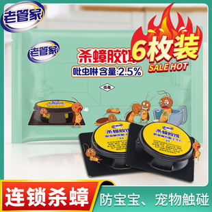 饭店非无毒克星灭除杀蟑胶饵剂 蟑螂药家用神器一窝餐厅端旗舰正品