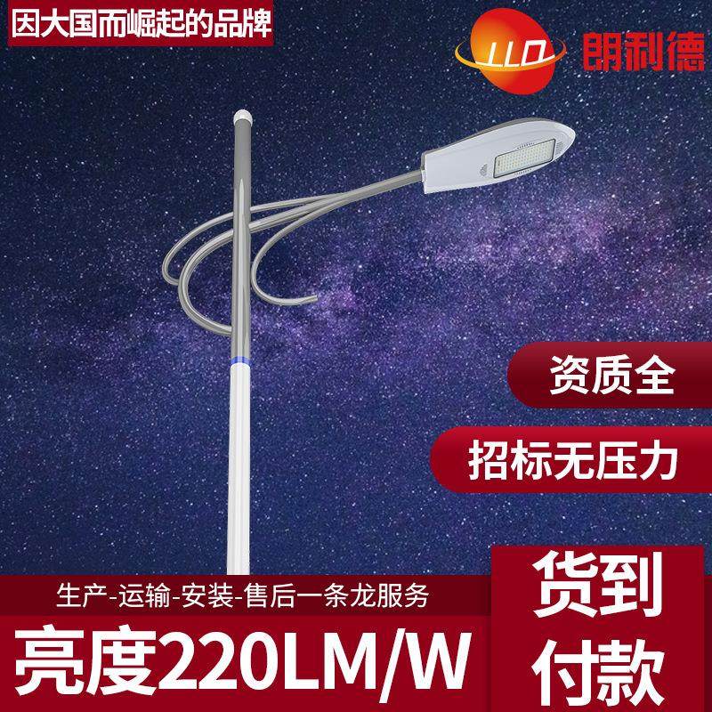 LED路灯60W00W50W200W户外道路照明高杆厂家6米8米0米2米4m