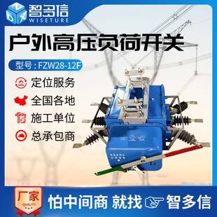 12F高压真空分界负荷开关户外10KV手合电分柱上断路器 工厂FZW28