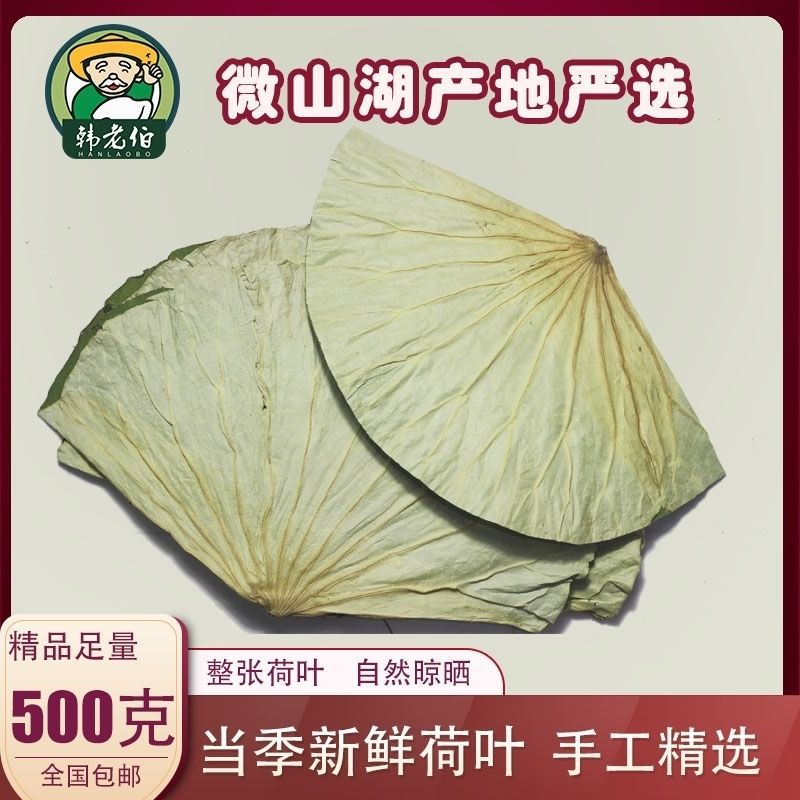 微山湖干荷叶整张500克荷叶鸡糯米鸡荷叶茶2022新鲜大张莲藕叶