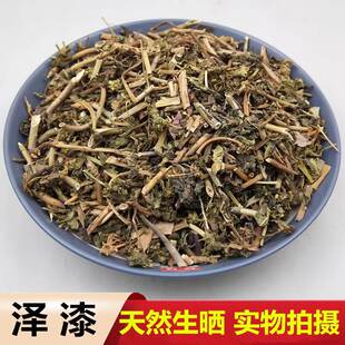 中药材 野生猫眼草泽漆耳叶大戟猫耳眼 猫儿草新鲜干货 500克包邮