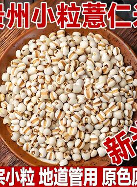 贵州小薏米仁薏仁米新货新米薏苡仁意米新鲜正宗意薏仁糯薏米杂粮