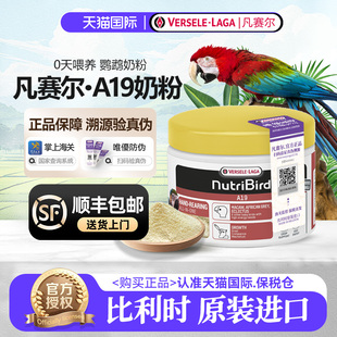 A19凡赛尔奶粉原装 进口金太阳灰机中大型幼鸟专用鹦鹉奶粉250g