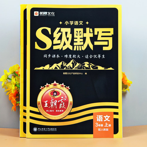 王朝霞小学语文字词句默写书