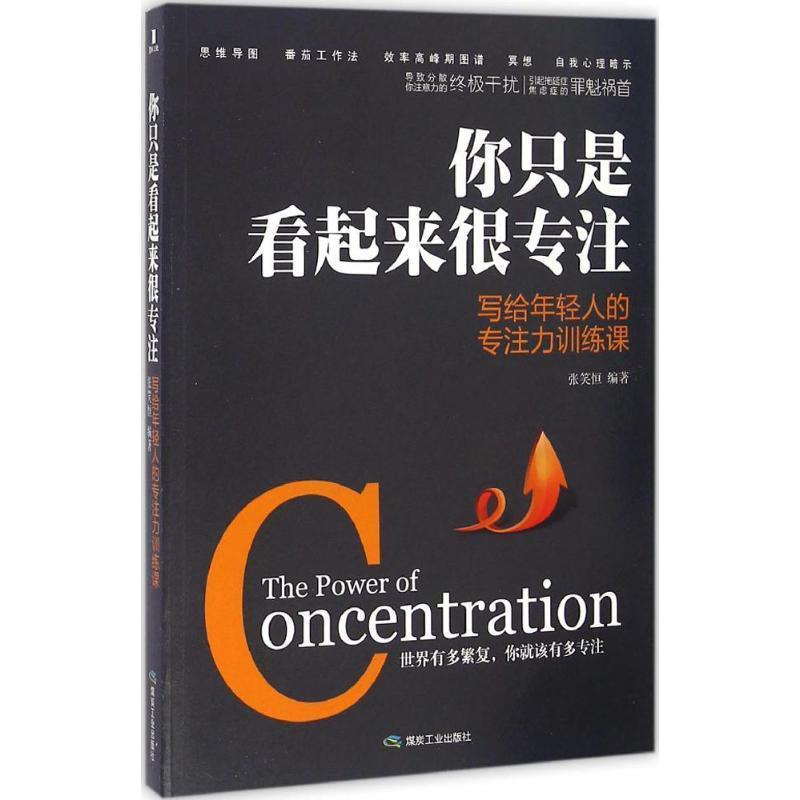 【正版书】 你只是看起来很专注:写给年轻人的专注力训练课 张笑恒 煤炭工业出版社