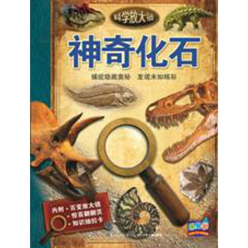 【正版书】 科学放大镜:神奇化石 【英】道格拉斯帕尔默 著 长江少年儿童出版社
