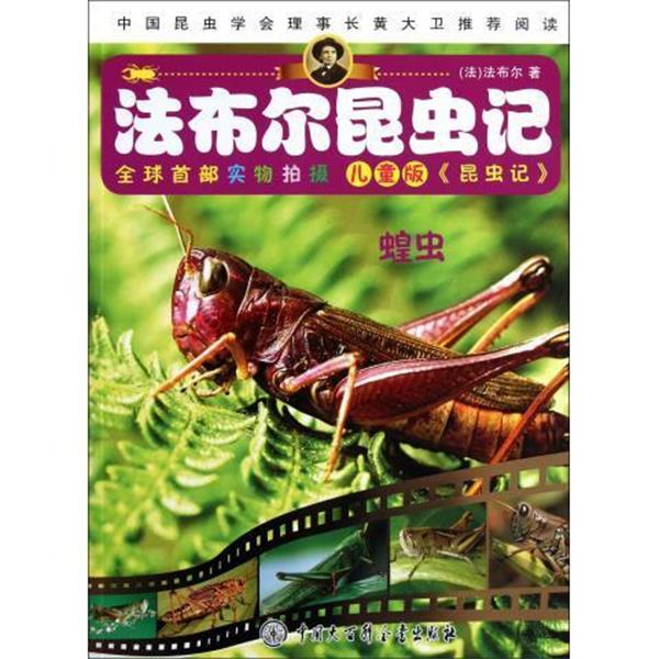 【正版书】 法布尔昆虫记--蝗虫 (法)法布尔 著,杨坤 改编 中国大百科全书出版社