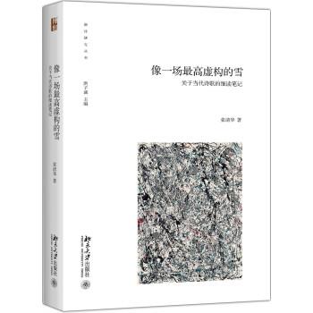 【正版书】 像一场虚构的雪 关于当代诗歌的细读笔记 张清华 北京大学出版社