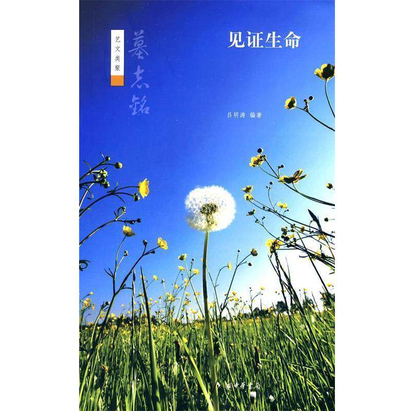 【正版书】 见证生命--墓志铭--艺文类聚 吕明涛 编著 中华书局