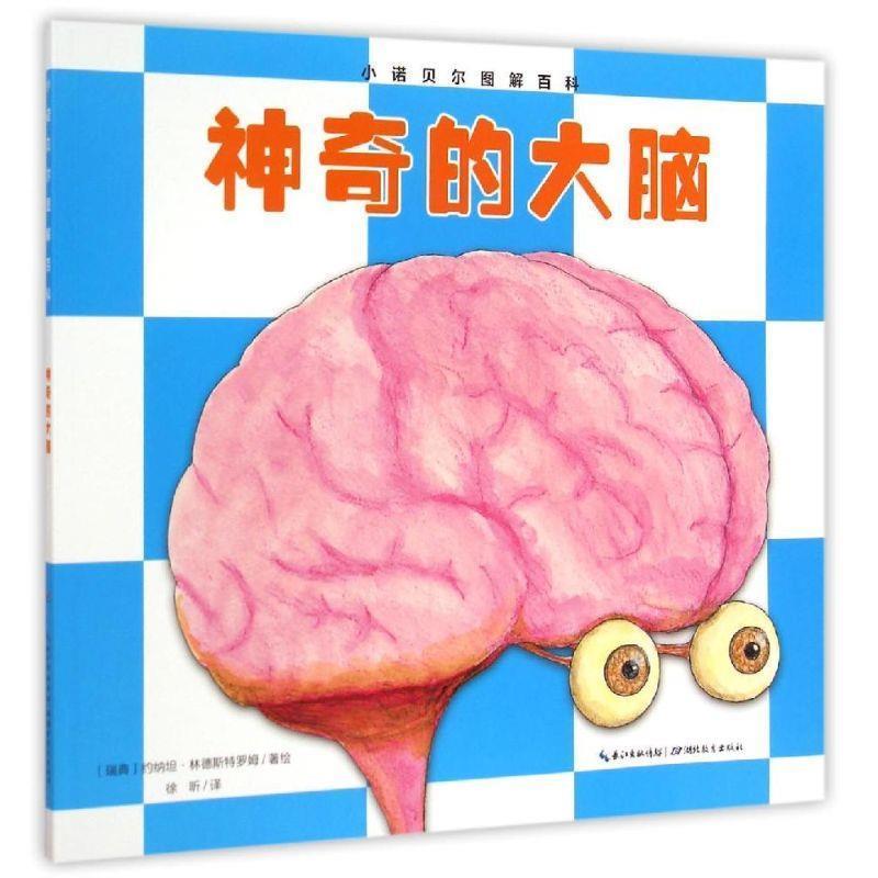【正版书】 神奇的大脑-小诺贝尔图解百科 [瑞典]马斯温内亨姆 [瑞典]马斯温内亨姆 湖北教育出版社