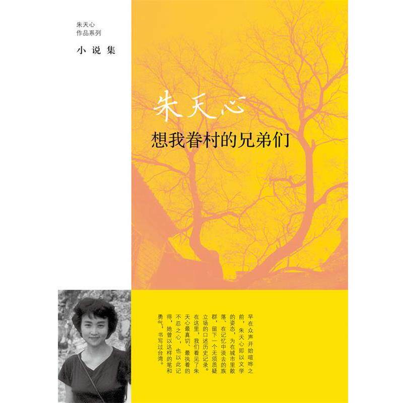 【正版书】 想我眷村的兄弟们 [中国台湾]朱天心著 上海译文出版社