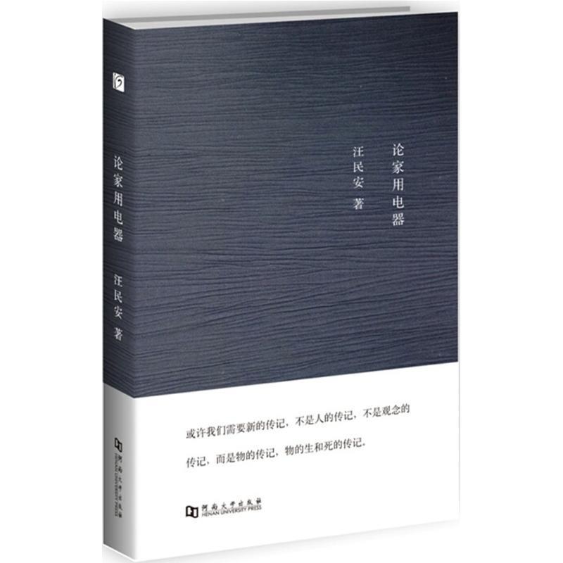 【正版书】 论家用电器 汪民安 著 河南大学出版社