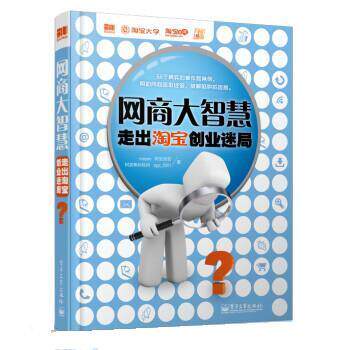 【正版书】 网商大智慧走出淘宝创业迷局 meyes,阿加加菲 电子工业出版社