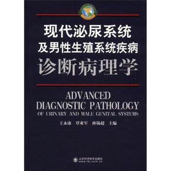 【正版书】 现代泌尿系统及男性生殖系统疾病诊断病理学 王永康, 覃业军, 孙锡超 山东科学技术出版社