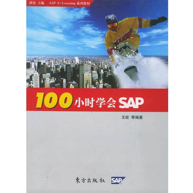 【正版书】 100小时学会SAP 王纹 等 著 东方出版社