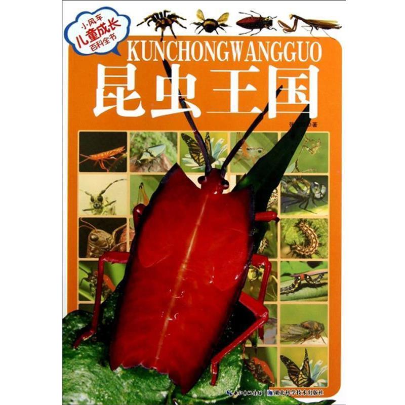 【正版书】 昆虫王国-小风车儿童成长百科全书 张卫红 湖北科学技术出版社