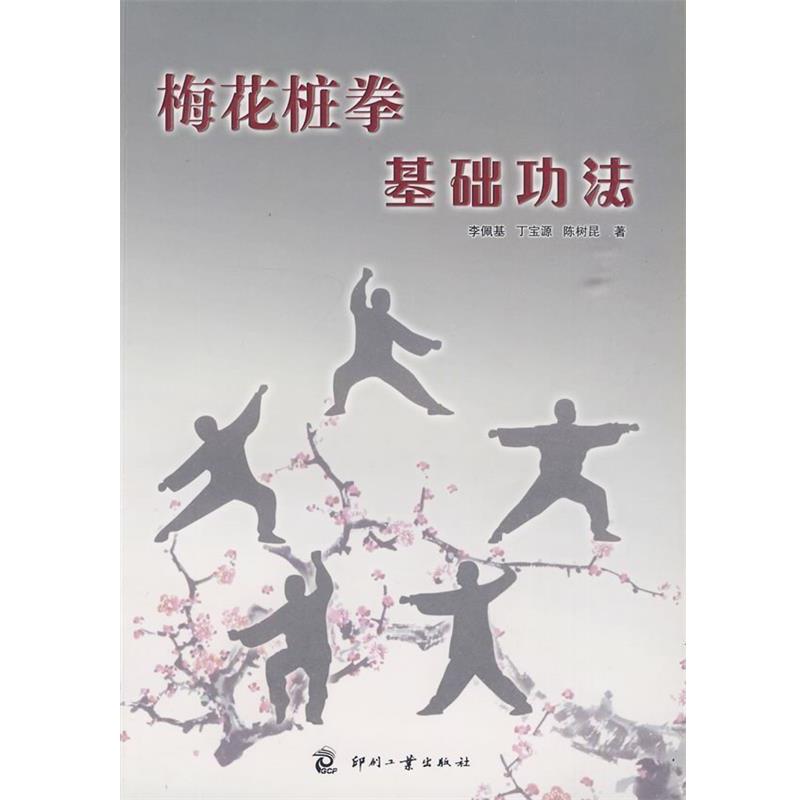 【正版书】 梅花桩拳基础功法 李佩基,丁宝源,陈树尾 著 印刷工业出版社