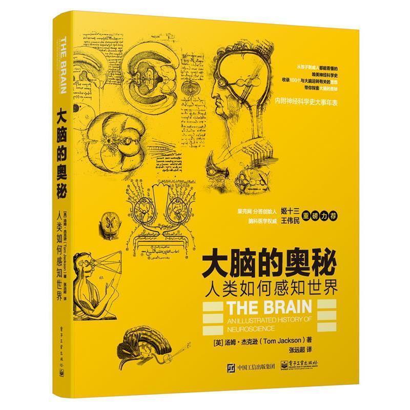 【正版书】 大脑的奥秘:人类如何感知世界 (英)Tom Jackson(汤姆·杰克逊) 著,张远超 译 电子工业出版社