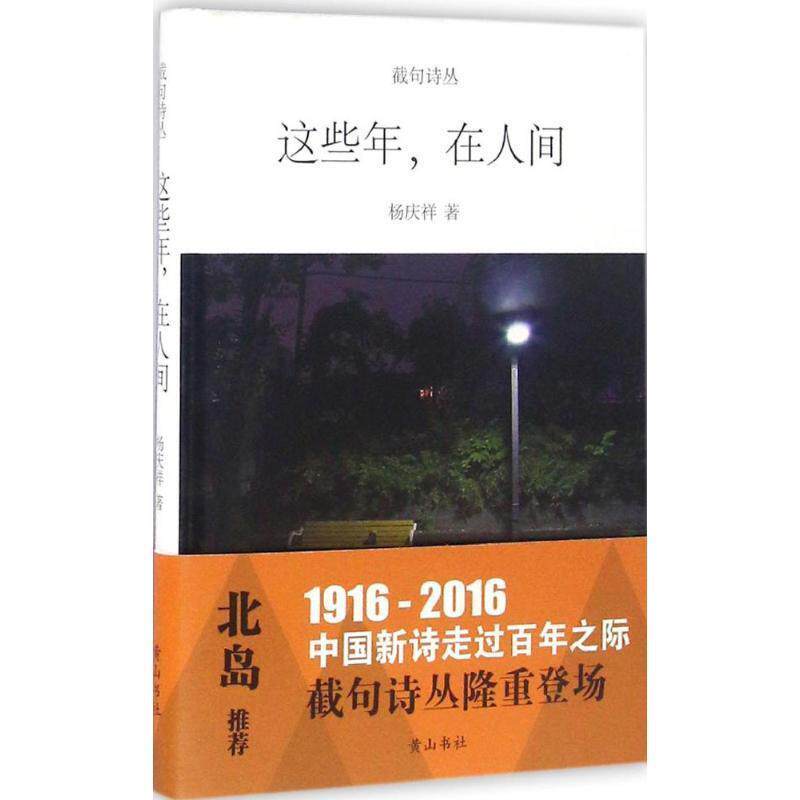 【正版书】 这些年在人间 杨庆祥 著 黄山书社