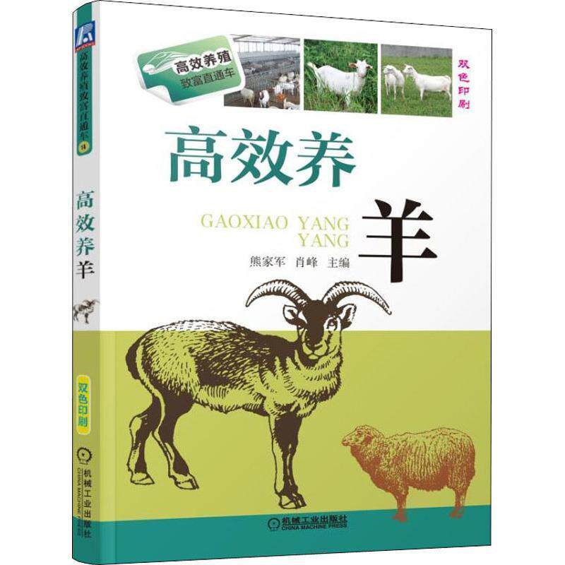 【正版书】 高效养羊 熊家军 等主编 机械工业出版社