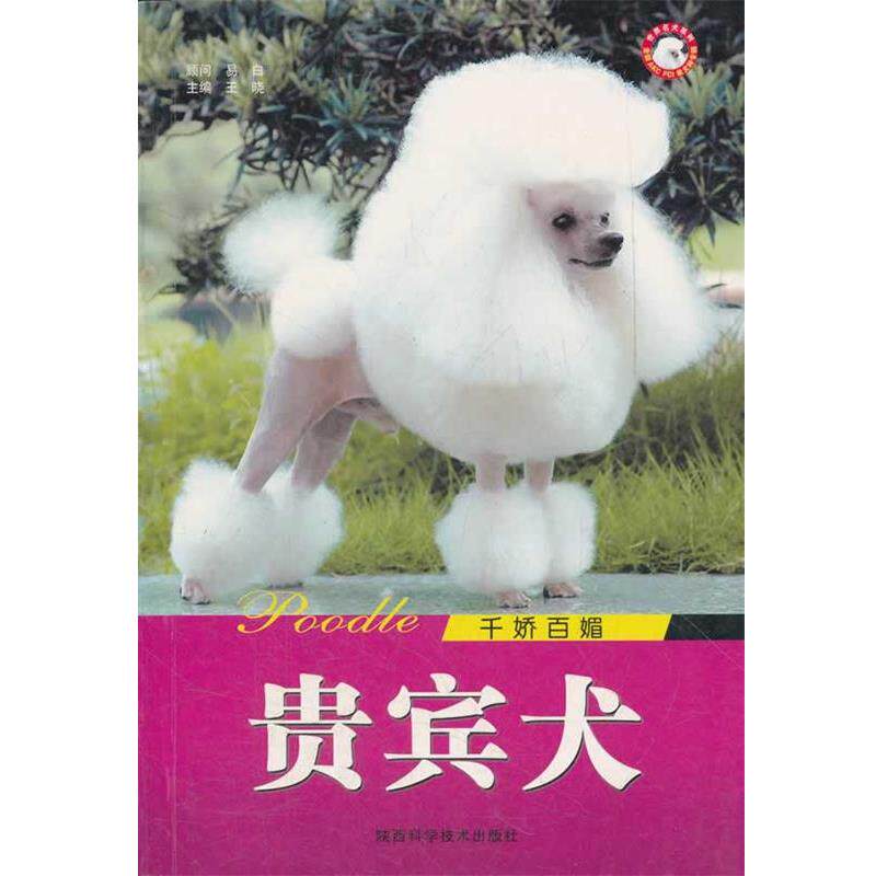 【正版书】 千娇百媚贵宾犬 世界名犬系列 王晓 主编 陕西科学技术出版社