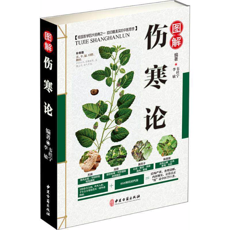 【正版书】 图解伤寒论 韦桂宁,李敏 编著 中医古籍出版社