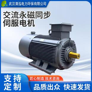 交流永磁同步电机一级能效水泵油泵变频调速电动机三相永磁
