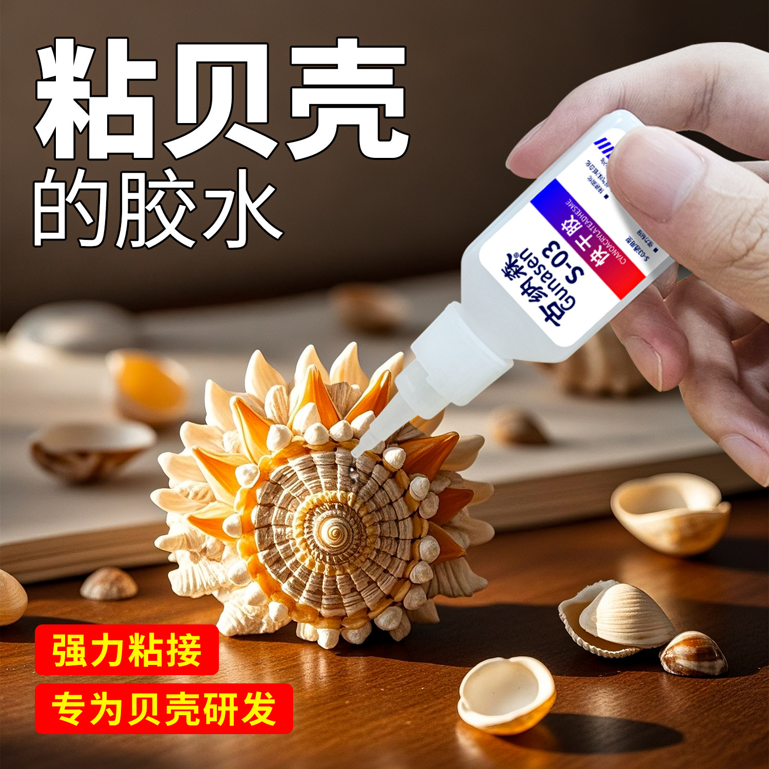 粘贝壳的胶水粘海螺风铃珊瑚石头图片