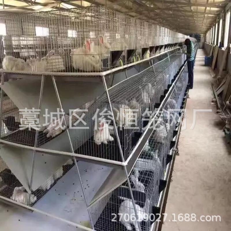 厂家生产直销免清粪兔笼母兔笼9笼位12笼位18笼位24笼位