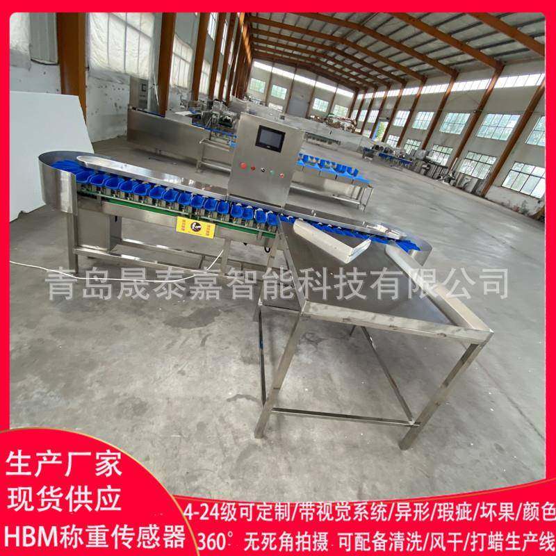 海参重量检测机械海鲜检重分选机鱼类分大小机器自动组合秤,厨房电器,其他商用厨电,淘宝优惠券,粉丝福利购,淘宝优惠卷
