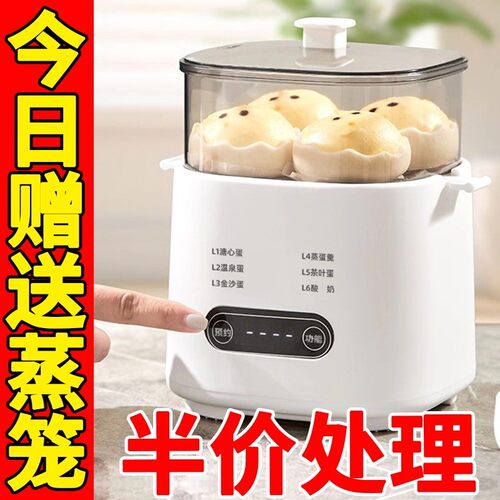 德国煮蛋器全自动断电蒸蛋器家用小型多功能煮蛋神器定时早餐神器