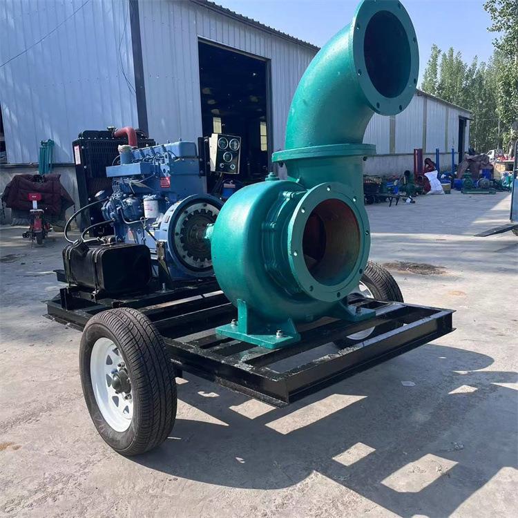 柴油双叶轮带喷枪浇地水泵 农村抗旱远距离抽水机 大流量导水泵