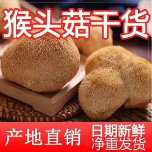 8公分猴头菇干货特产级新货猴头菇精选煲汤食材家用菇菌净重