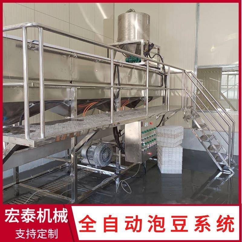 自动黄豆浸泡清洗系统自动上豆定时放水省工易操作的大豆泡豆池