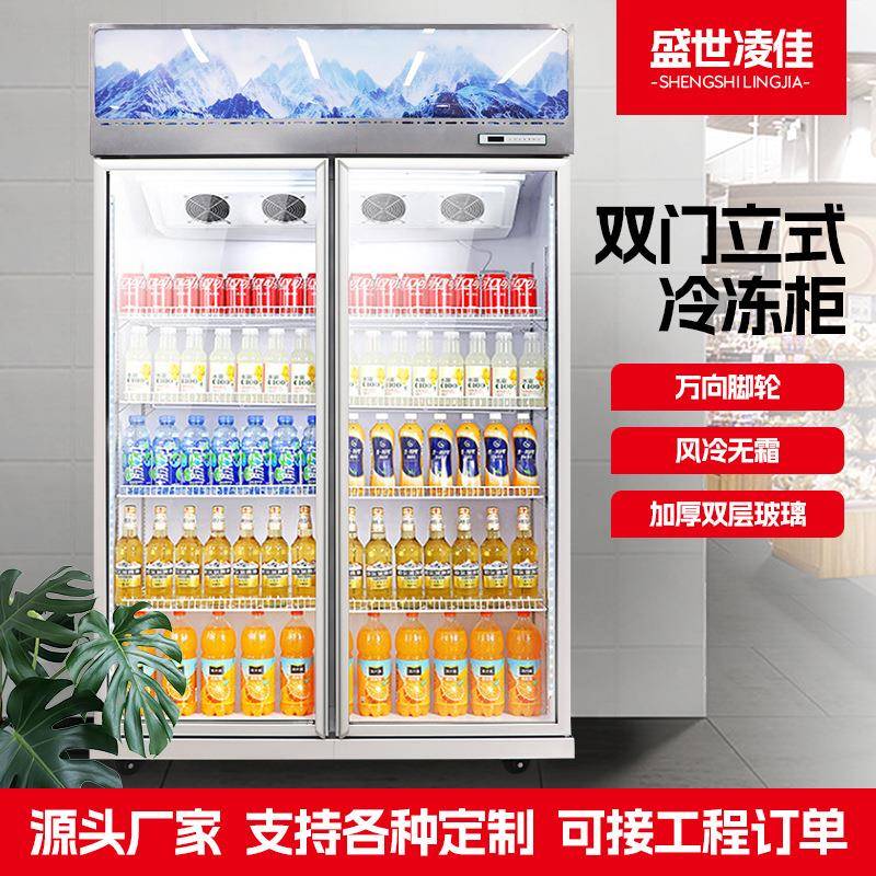 双门冷冻柜玻璃立式展示柜商用饮料冰柜风冷便利店冷藏柜商业用